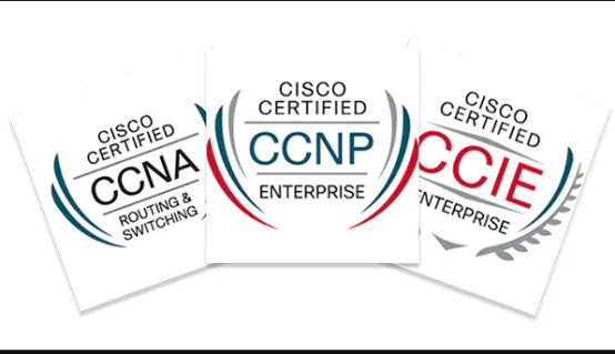 1713430974775837.png image.png